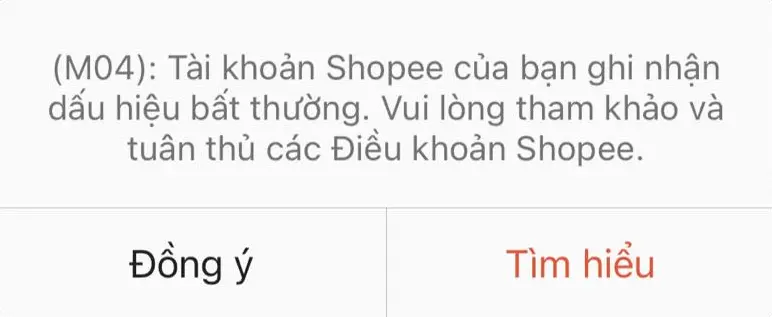 01-06-2025/Lai-M04-Shopee-1748795224683.webp