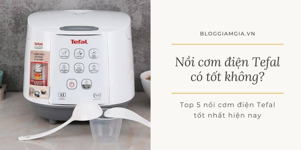 02-11-2022/Noi-com-djien-Tefal-1-1667398415758.png