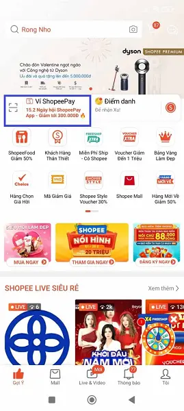 11-02-2025/thanh-toAn-baong-SPayLater-taoi-caa-hA-ng-1739296976801.webp