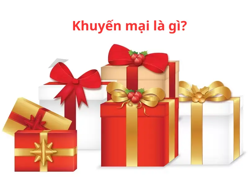 15-08-2025/Khuyaon-mApoundi-vA-khuyaon-maoi-khAc-nhau-cha-nA-o-1755235665833.webp