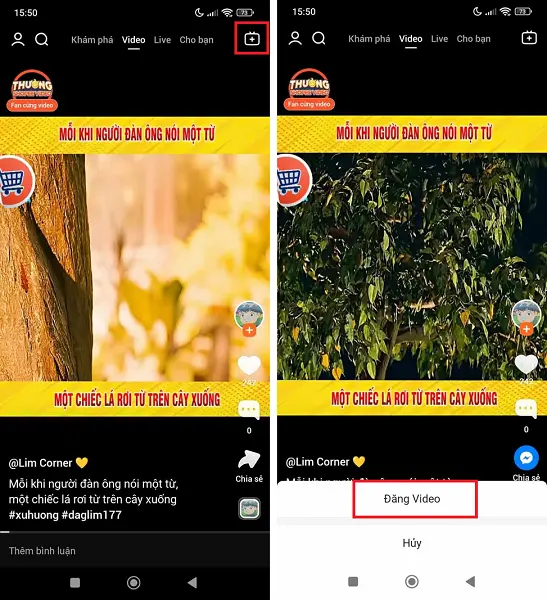 31-03-2025/Shopee-Video-1743411304174.webp